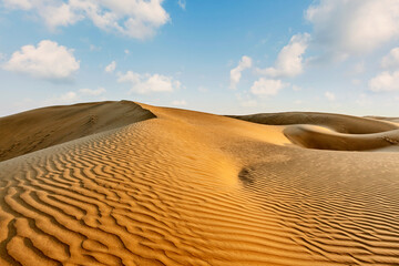 Fototapeta na wymiar Dunes of Thar Desert, Rajasthan, India