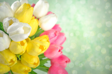 Obraz na płótnie Canvas Spring tulip flowers background. White, yellow, pink, red tulip bouquet on light green spring grass background with bokeh effect, banner mock up format