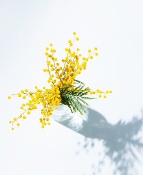 Fototapeta a bouquet of yellow mimosa flowers stands in a glass  vase with shadow on a white  background. concept of 8 March, happy women's day