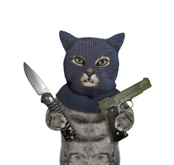 A gray cat in a balaclava is holding a handgun and a folding knife. White background. Isolated.