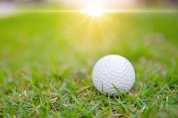 Close up Goofs on the grass