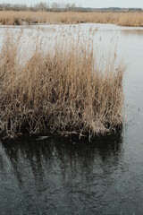 Fototapeta premium Federsee