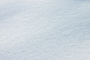 snow cover texture backdrop