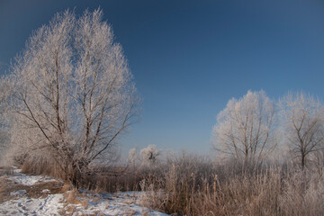 Spring landscape with a river covered with fog, melting snow on the river bank, trees