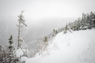 Obraz premium Snow falls steadily atop Mount Willard in NH