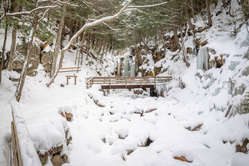 Ice on the sides of the Flume Gorge in NH