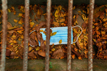face mask lying on the ground in the forest
