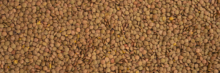 Traditional Turkish domestic green Lentil. Lentil background. Flat layout.