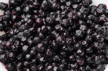 bilberry close-up