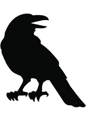 Halloween, Decoration, Horror film, Witch, Cats, Ghost, Home decoration, Decor equipment