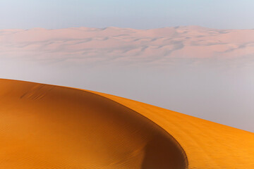 Fototapeta na wymiar Sand dune in the desert in United Arab Emirates