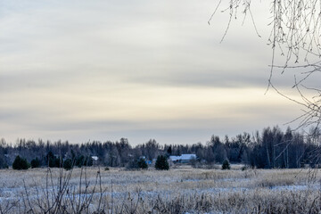 Nature of Russia in a frosty winter