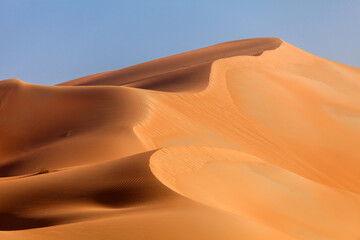 Fototapeta na wymiar Enormous sand dunes in the desert in United Arab Emirates