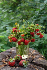 Naklejka premium And bouquet of fresh ripe red strawberries with leaves stands in a transparent glass on a stump against a green garden. Vertical.