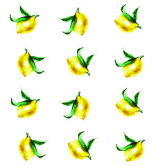 Summer citrus illustration. Lemon vector vintage pattern.