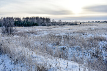 Nature of Russia in a frosty winter