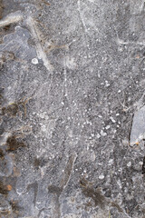 interesting ice patterns on the ground. background