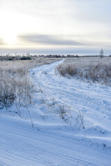 Nature of Russia in a frosty winter