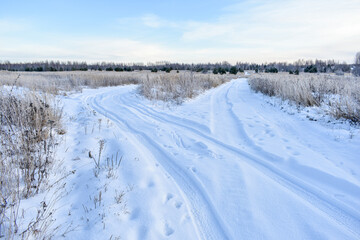 Fototapeta na wymiar Nature of Russia in a frosty winter