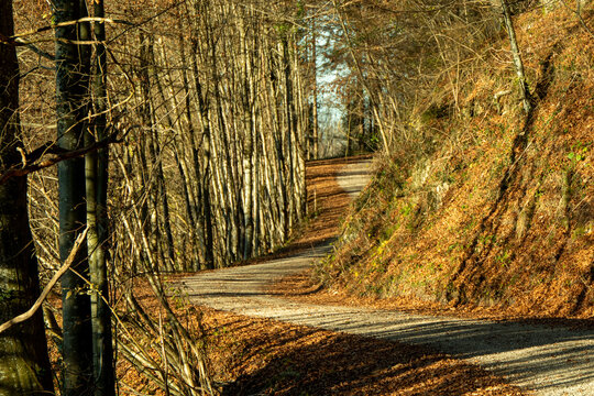 Richard-Strau&szlig;-Wanderweg zwischen Marquartstein und Unterw&ouml;ssen, Chiemgau
