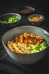 Buddha bowl with chicken, rice, peanuts, apple and chili sauce on dark background, vertical