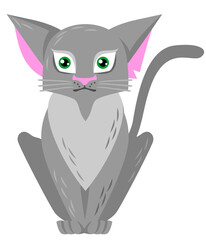 Cartoon gray cat. Vector color isolated illustration.