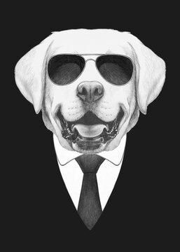 Portrait of Labrador Retriever in suit and sunglasses. Bodyguard. Hand-drawn illustration. 