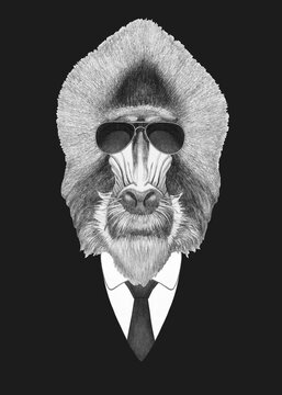 Portrait of Mandrill in suit and sunglasses. Bodyguard. Hand-drawn illustration. 