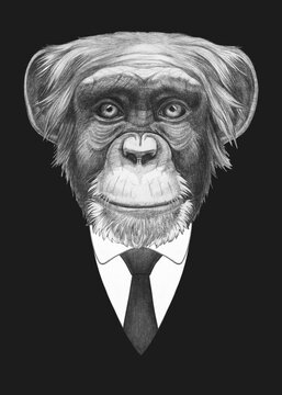Portrait of Monkey in suit. Bodyguard. Hand-drawn illustration. 