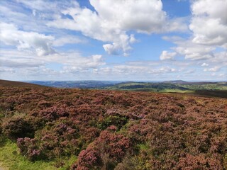 mountain walk