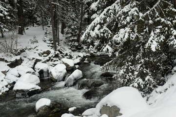 Winter river landscape cover with snow