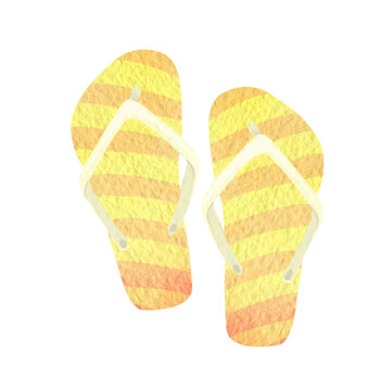 watercolor flip flops in the form of an isolated illustration