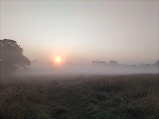 sunrise in fields