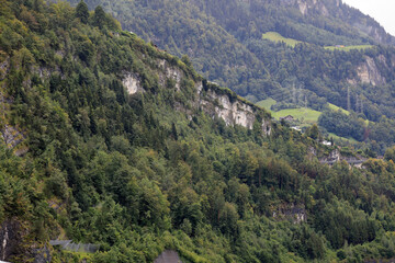 Wooded hillside in Switzerland