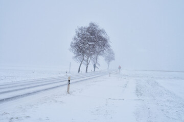 Schneebedeckte Straße bei Schneesturm im Winter mit Bäumen