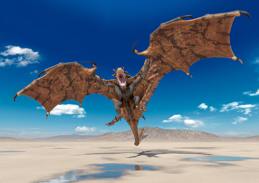 dragon is attacking on desert after rain