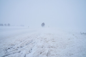 Schneebedeckter Straße bei Schneesturm im Winter mit Baum