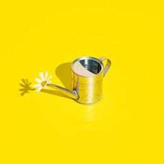 Metal watering can on bright yellow background. Garden can with sunshine and hard shadow. Summer, spring, garden concept