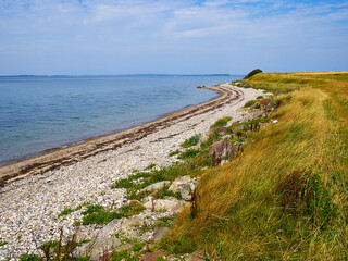 Fototapeta na wymiar Typical beautiful Danish coastline landscape in the summer