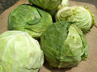 These kind of vegetables called cabbages