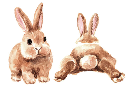 Easter  rabbit set. Hand drawn watercolor illustration, isolated on white background