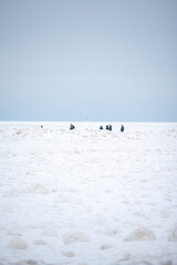 People walking on frozen lake erie near cleveland ohio