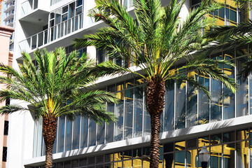 Fototapeta na wymiar Modern Condo building with palm trees