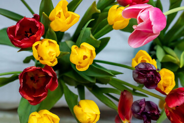 Naklejka premium Yellow, pink, red, lilac tulips with green leaves on a white background