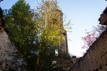 abandoned church in the woods