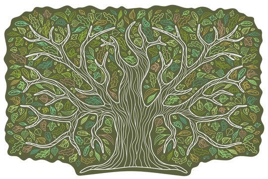 Oak in a decorative style. Colorful leaves, foliage of different trees. A large family tree. Contour. For the design of magazines, booklets, books, etc. Isolated on a white background.