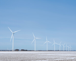 Fototapeta premium snow covered fields and wind turbines in dutch polder of flevoland under blue sky