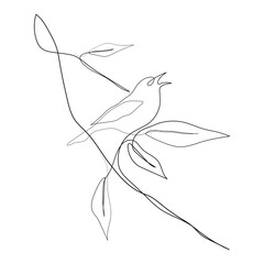 Vector Illustration of Beautiful Bird Line Art Drawing. Good for Cover, Poster, T-Shirt, Graphic Design Print, and others.