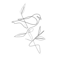 Vector Illustration of Beautiful Bird Line Art Drawing. Good for Cover, Poster, T-Shirt, Graphic Design Print, and others.