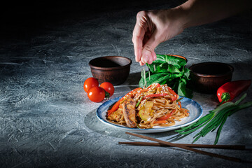 Udon stir-fry noodles with chicken and vegetables on dark background. Appetizing asian cuisine